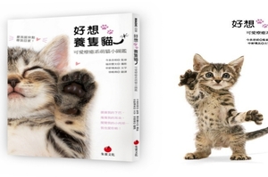 【好書推薦】日本動物攝影大師親攝《好想養隻貓：可愛療癒系萌貓小圖鑑》要來溫暖你的心！