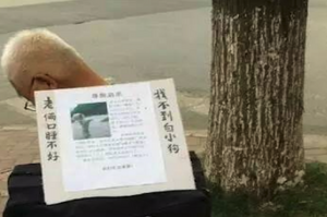 老人苦苦尋找愛犬，卻不知愛犬是被偷走早已被殺害...