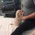 「肚子裡是我未來的弟妹嗎！？」這10組汪汪暖心又搞笑的照片...第4張讓人爆哭阿！