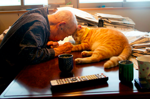 送給爺爺一隻貓咪，讓重病常發脾氣的爺爺奇蹟似再次露出笑容....真的超級賺人熱淚的故事！