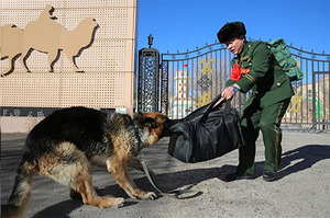 「老爸，拜託你不要走！」警犬使出渾身解數就是不讓老爸離開，看到最後一張真的淚流滿面阿！