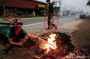 「超級憤怒！女子街邊生火烤香肉」台灣明令禁止食用貓狗的同日，世界上仍正有生命因此消失