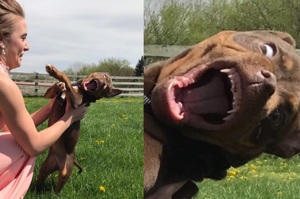 舞會出發前跟愛犬拍張親親美照，我家狗就完全壞掉了....真的笑到剛敷上的面膜都掉了！