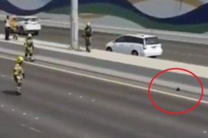 阿聯酋民防部隊堵住高速公路停下瘋狂車流，只為拯救受困小貓超暖心！（影片）