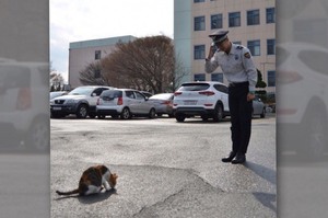 「看到長官不會敬禮問好嗎？」自從警局來了這位「高階長官」監督大家...所有人的工作效率都提高了！！