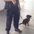 「第一天上班站好直！！」這些第一天上班訓練的工作犬....真的可愛到讓人完全融化啦！