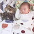 「我家的喵星人本來一直對Baby哈氣...」這天網友煮完飯發現喵星人和Baby一起睡著了....喵喵和Baby的照片真的讓人覺得超溫馨！