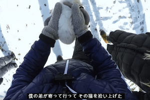在雪地裡發現一隻全身凍僵的小貓，趕緊對牠進行急救，眼看時間一分一秒的過去...這時奇蹟終於發生了!!(影片)