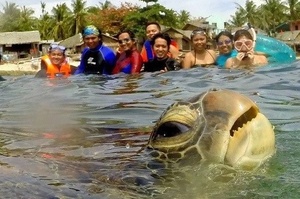 爆笑的意外！眼神超多疑的海龜亂入自拍照：「你們闖進我家想幹嘛？」