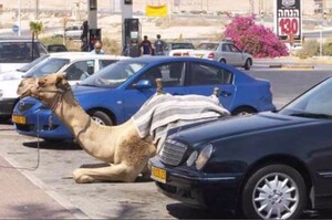 到停車場找自己的車後，然後網友就笑噴啦！中東人真的太狂啦！