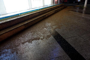 四川街上舖滿一層「白蟻地毯」，每日清潔數次也沒用，民眾夜晚不敢出門