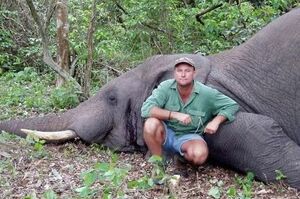 獵殺大象而出名：嚮導獵人組團狩獵，反被中槍大象活活當場壓死！