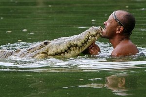 感情不會受物種和語言侷限，10隻野生動物和牠們的主人的故事