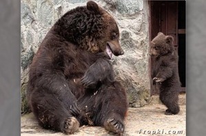 小熊做錯事被處罰...低頭道歉後馬麻選擇原諒寶寶，並給牠一個大大的擁抱...真的超級揪心的！