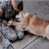 「你怎麼離開那麼久...」心愛軍人姐姐終於休假歸來，黃金獵犬奶奶開心到嚎啕大哭！