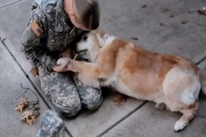 「你怎麼離開那麼久...」心愛軍人姐姐終於休假歸來，黃金獵犬奶奶開心到嚎啕大哭！