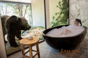 洗澡洗到一半...竟然有隻大棕熊跑來偷窺!!!超狂飯店養了一堆野生動物，知道原因後都大讚老闆超佛心！