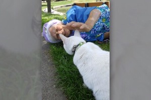 超療癒！帶著愛貓到公園散步遇見一位老奶奶，她像個小孩與貓咪的互動真的讓人感到超溫馨！！
