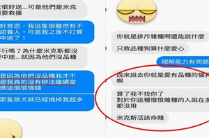 不配合就是「排斥雜種」？愛媽無暇再接中途抱歉告知，網友惱羞成怒批「米克斯活該命賤」「根本繁殖場」