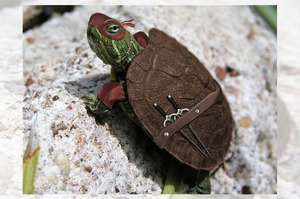 「朋友說他家來了一隻忍者龜...」這6組忍者龜變裝的照片每張都超狂啊！！！