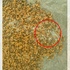 （更新）高雄鼓山出現虐狗人士，在飼料中參雜碎玻璃意圖殺害浪浪，令當地的愛媽氣憤不已！（影片）