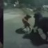 「以暴制暴！」稱被流浪狗追車，飼主解繫繩放「藏獒」攻擊...小黃狗瞬間倒地哀嚎不起！！(影片)