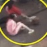 男子雨中毆打懷孕妻子扯頭髮，狗狗為救女主人狂吠反被踹一腳！