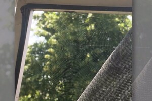 網友正打算修破掉的紗窗，想不到已經有「暖心蜘蛛」幫他修好了....真的超感動！