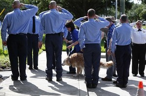 最後一隻也走了⋯⋯美國911事件英雄搜救犬，享年16歲