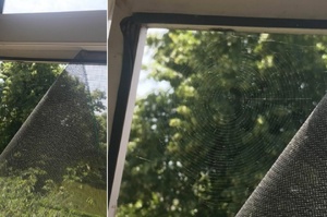 哎呦你太體貼了！男子家紗窗壞掉很困擾，超級熱心善良小蜘蛛出手幫助：「我修好了別擔心！」