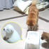「把拔救我～」可愛的柴犬一家遇上前所未有的危機！該怎麼辦呢柴爸！？