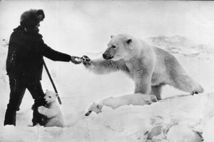 蘇聯軍人遇到北極熊沒有轉身逃跑，送給牠一個小禮物後...竟建立了一段令人羨慕的友誼！！