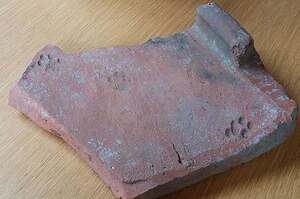 考古學家意外發現古羅馬瓦片上的貓腳印，證明貓咪從2000年前就開始奴役人類！