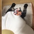「來一份吐司夾蛋加貓咪！」可愛貓咪睡醒驚覺自己差點變料理，可愛表情萌翻網友！