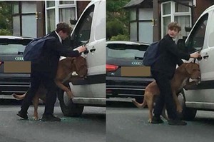 狗狗耐不住高溫衝破車窗，卻被脖子上的牽繩勒住差點吊死...直到這位少年的出現！！