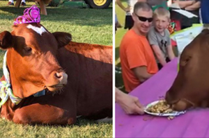 剛滿一歲的小牛曾經差點活不下去，人們為慶祝牠的里程碑為牠舉辦驚喜生日趴