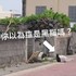 看背影以為是隻黑貓...轉過頭來立刻笑噴：「你在敷面膜喔XD」