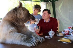 大膽一家人養一隻大熊當寵物：相處24年很平安，演過電影還會澆花，每天喝下午茶是必須