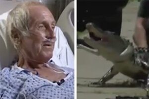 68歲遊民進池塘裡洗澡，遭鱷魚背後偷襲咬掉蛋蛋