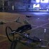 女主人突然倒地身亡，8隻流浪忠犬默默守護超過6小時直到醫療人員到來⋯⋯