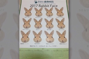 拿到「兔兔月曆」翻開看完1月的照片，再接著看2月、3月的照片...立刻就笑噴了XD