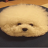 一秒隱身術！這隻比熊犬根本就是軟Q軟Q的蓬鬆棉花糖嘛！
