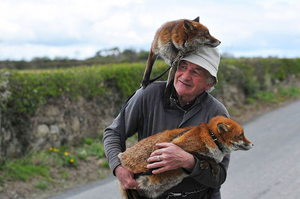老爺爺救援了兩隻小狐狸，康復後準備將牠們野放...沒想到狐狸的反應讓人超感動！