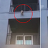 小狗狗墜樓，底下鄰居合力接住！整個搶救畫面...網友看了超感動!!（新聞 附影片）