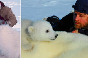 保育員幫北極熊做完體檢後，熊寶寶的超萌互動...網友看了心全融化！