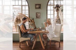 「天阿！長頸鹿跟我一起吃早餐」全球第一名的夢幻旅遊勝地長頸鹿莊園背後竟有超感人故事！（影片）
