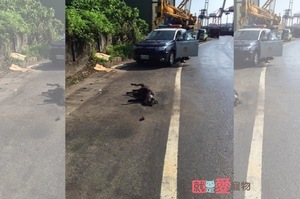 基隆「路邊燒狗」引起網路眾怒！網友臉書號招民眾一起揪出兇手！