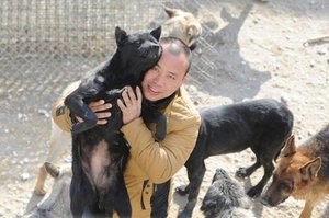 超有錢土豪走進了「狗肉屠宰場」，於是決定花光他一生積蓄！網友看完故事全流淚...