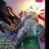 唸小學的女兒每天都寫作業寫到半夜，進房間一看才知道...原因真的讓人瞬間笑噴！