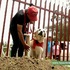 悲働！搜救犬Dayko用盡全力在地震重災區救出7個人　卻在完成任務後闔上了眼